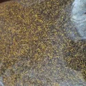 Mustard Oil Cake as Organic Matter