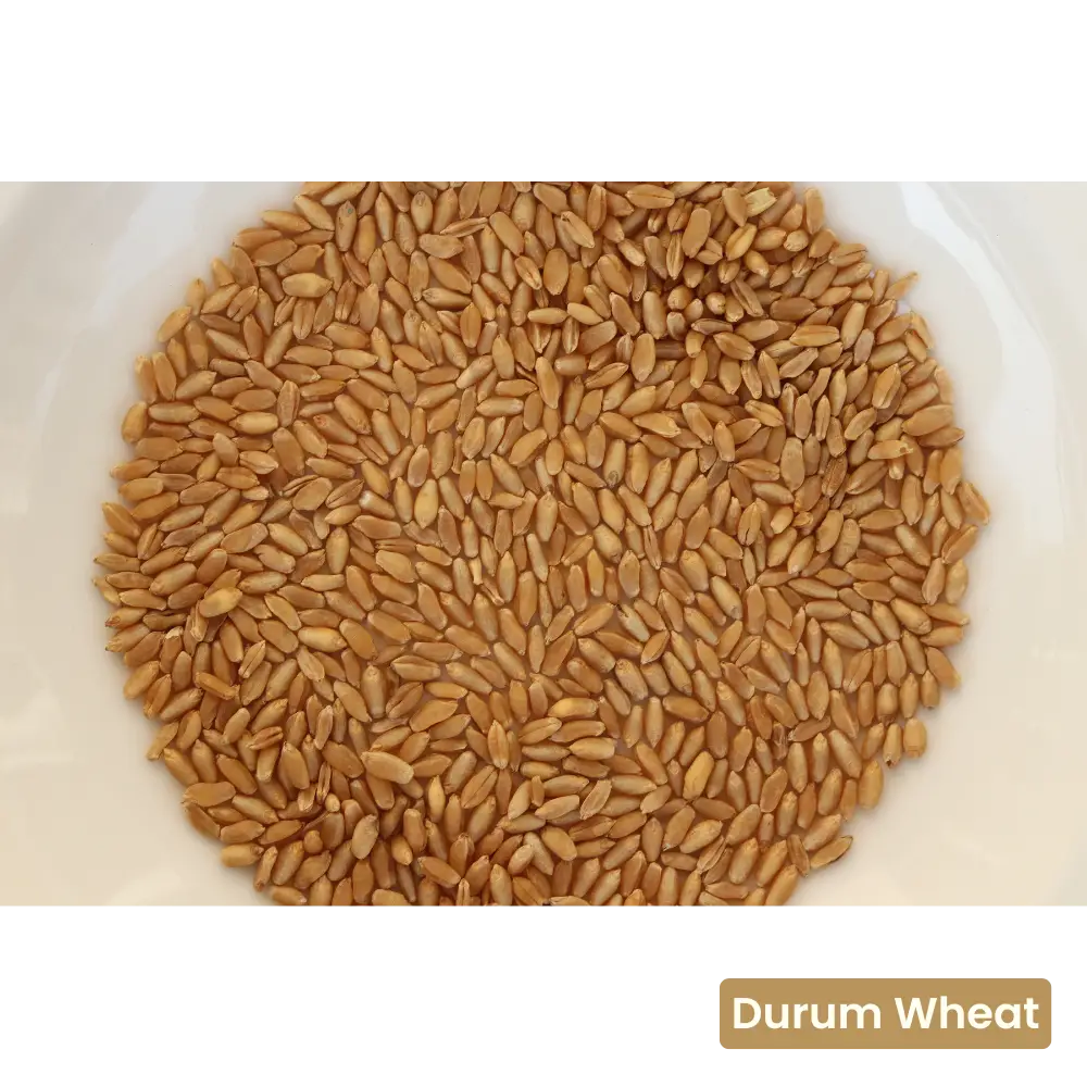 Bulgur Wheat - Image 6