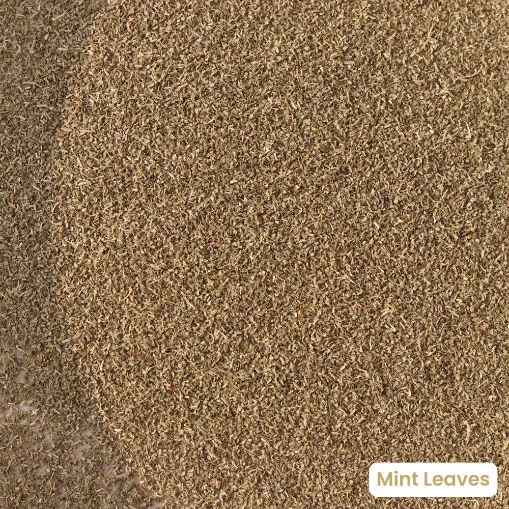Dry Mint leaves