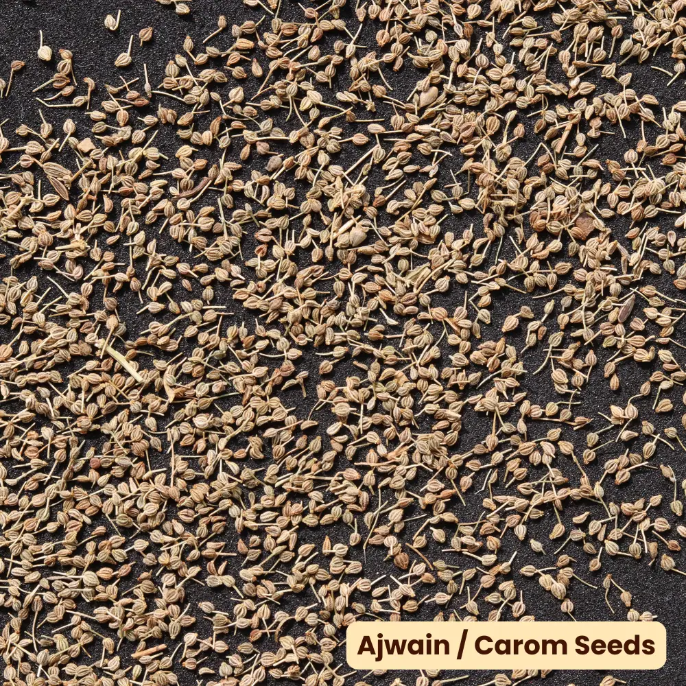 Ajwain Carom Seeds - Image 3