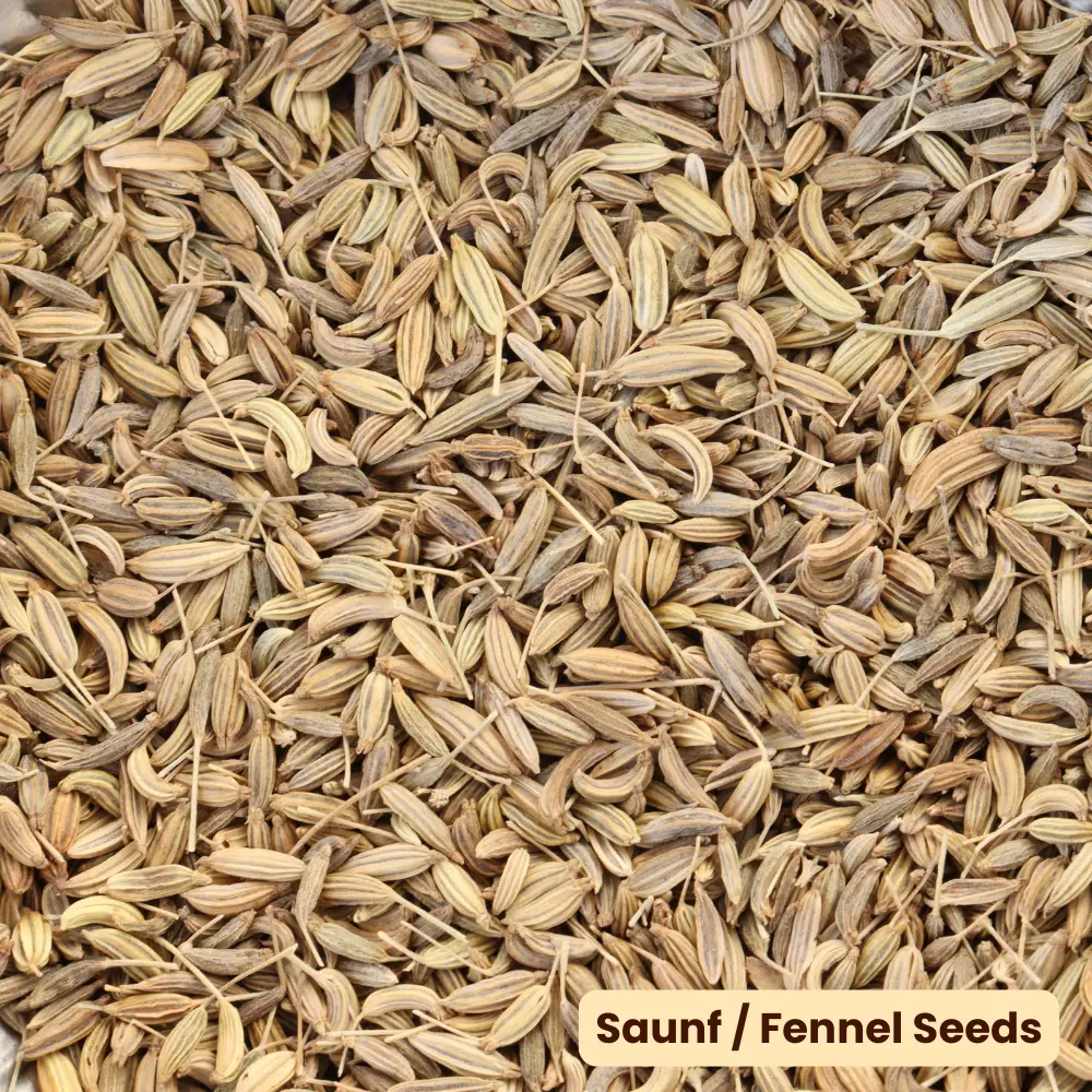 Saunf Fennel Seeds