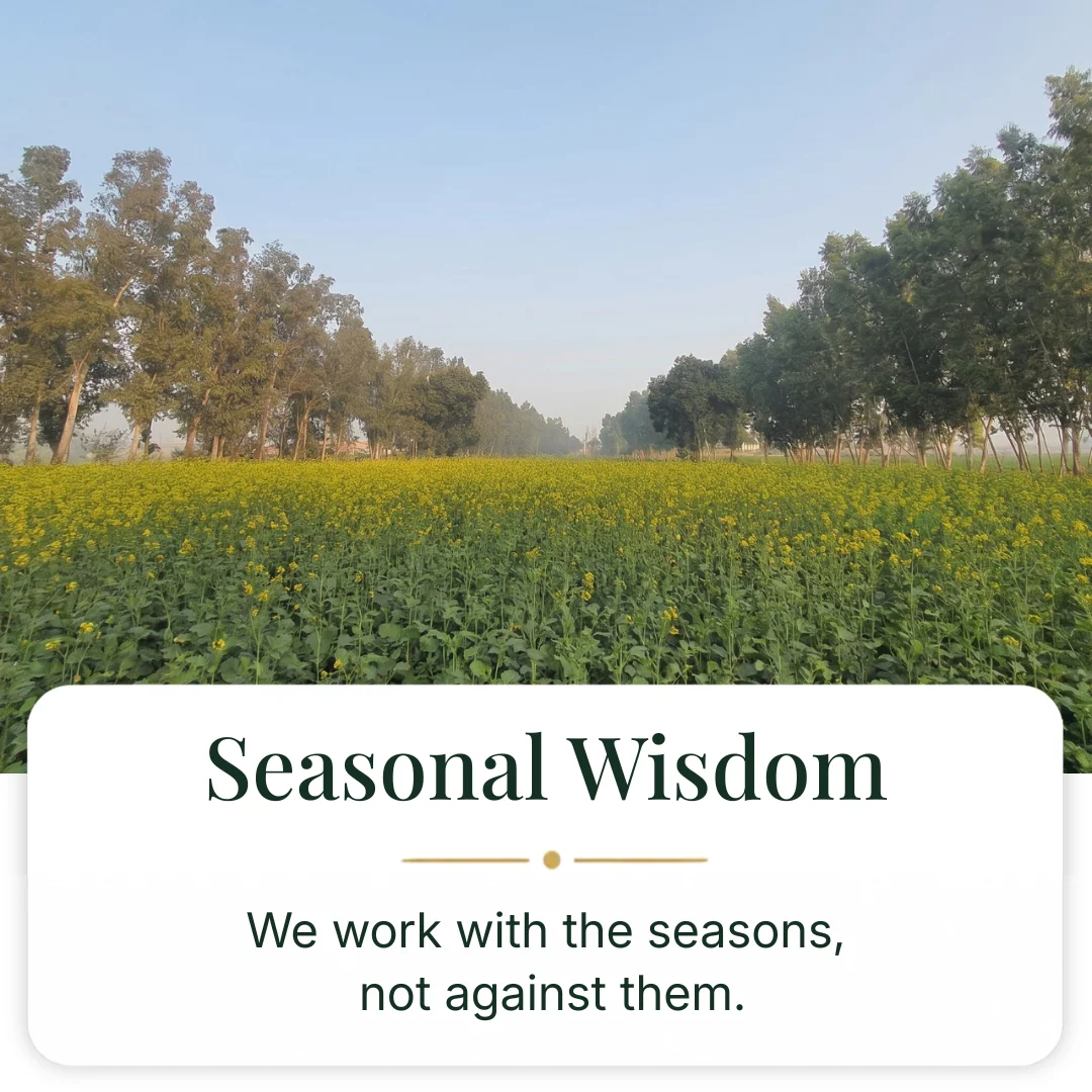 Farmili philosophy 2